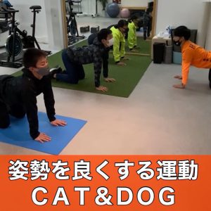 姿勢を良くする運動cat&ddog